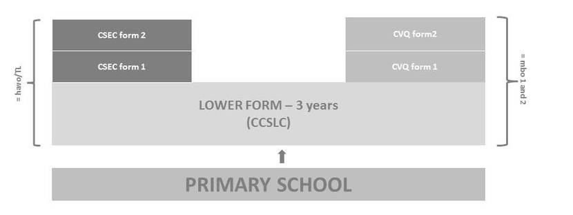 The CXC transition overview