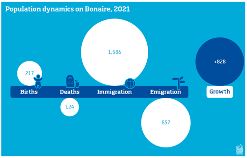 Populations dynamics on Bonaire 2021