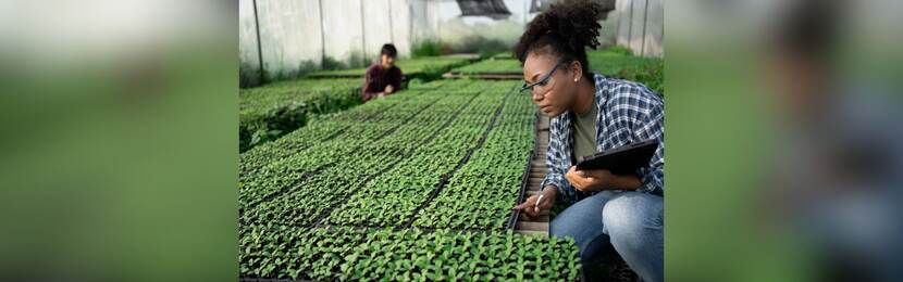 Afbeelding decoratief: Vrouw bestudeert planten in een kas.